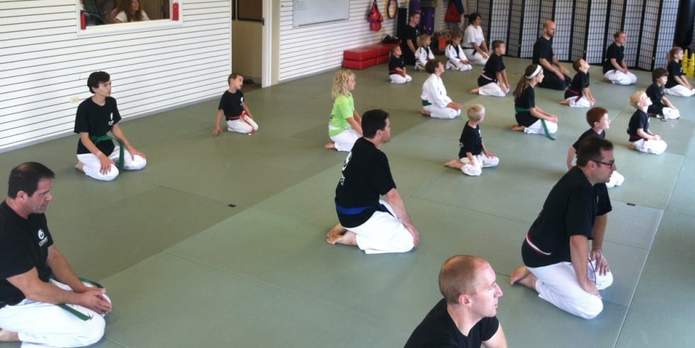 Children and Family Martial Arts